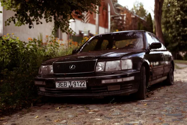 קזינו ג'קפוט מולי אפליקציית Android/iOS